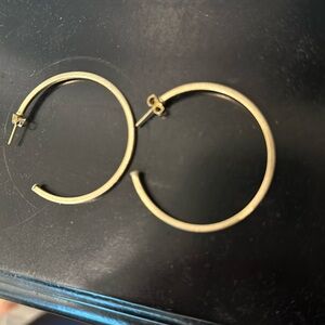 Shelia Fajl earrings - perfect hoop